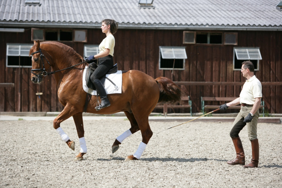 St. Lukas Dressage Centre - cosy atmosphere for hobby and show riders alike