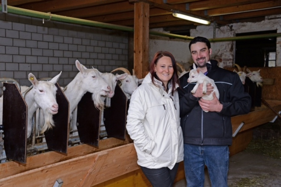 Broennimanns Goat Farm - in balance with animals and nature